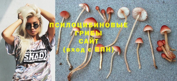 СК Куйбышев
