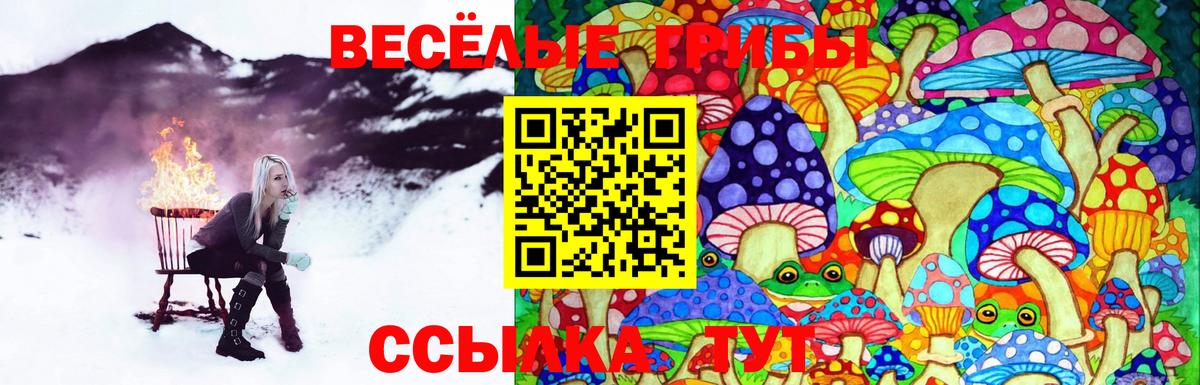 Псилоцибиновые грибы мицелий Шумерля