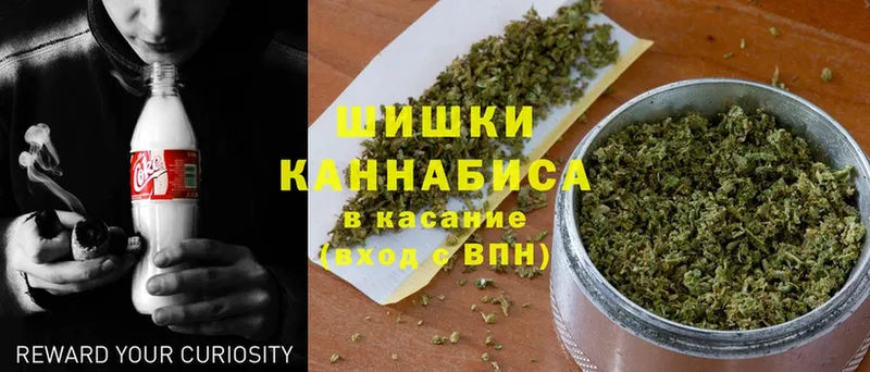 Шишки марихуана OG Kush  наркота  Шумерля 